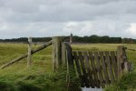 DSC069902.jpg