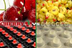 Cherry MX vs Rubberdome.jpg