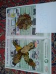 2012-10-26 16.03.57.jpg