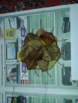 2012-10-26 16.04.08.jpg
