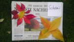 2012-10-26 15.49.24.jpg