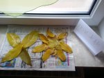 20121027_100729.jpg