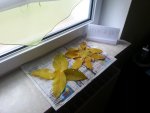 20121027_100703.jpg