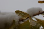 PK5_9050.jpg