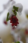 PK5_9063.jpg