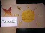 IMG_20121027_125204.jpg