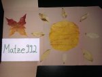 IMG_20121027_125208.jpg