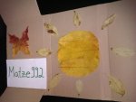 IMG_20121027_125214.jpg