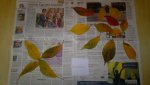 2012-10-27-136.jpg
