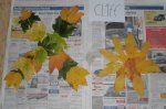 CIMG0709.JPG