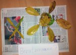 2012-10-27 18.23.24.jpg