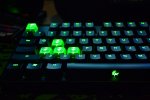 Ducky Green.JPG