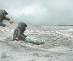 kollegenschwein.jpg