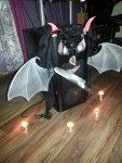 2012-11-03 18.20.47.jpg