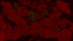 Blood.png