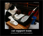 cat-support.png