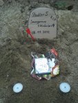 IMG011.jpg