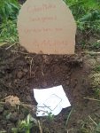 20121108_153559.jpg