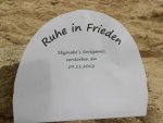 PCGH-Gewinnspiel-Runde14 (3).JPG