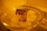 IMG_0040.CR2.jpg
