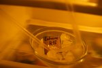 IMG_0042.CR2.jpg