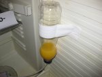 IMG_4893.jpg