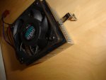 DSC04817.jpg