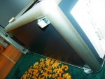 SDC16222.jpg