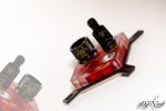 dsc_709249qdt.jpg
