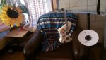 IMAG0556.jpg