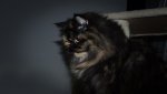 IMGP3227.jpg