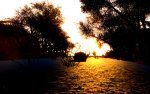 Crysis (7).jpg