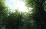 Crysis (4).jpg