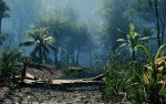 Crysis (9).jpg