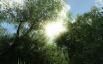 Crysis (3).jpg