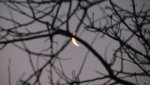 IMG_0371.jpg