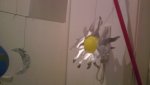 IMAG0311.jpg