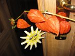 IMG_4906.jpg