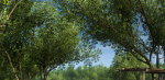 FC3-A2C-off_cra.png