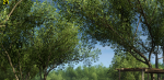 FC3-A2C-on_cra.png