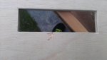 ausgebrochen.jpg