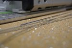 DSC05873.jpg