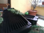WP_000762.jpg