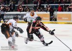 hannover_scorpions_grizzly_adams_wolfsburg_301112_dr (10).JPG