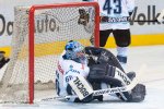 GrizzlyAdams-Ingolstadt-24.jpg