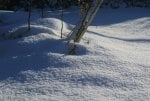 DSC04984_900.jpg