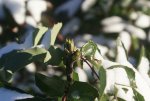 DSC04982_900.jpg