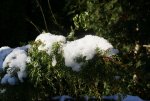 DSC04986_900.jpg