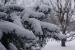 DSC05006_900.jpg