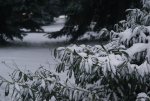 DSC04994_900.jpg